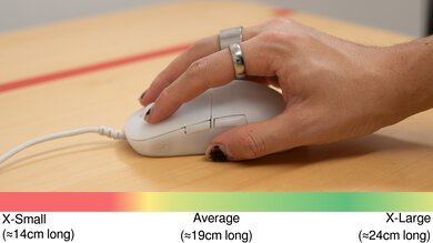 Endgame Gear XM2 8k Fingertip Grip Hand Recommendation