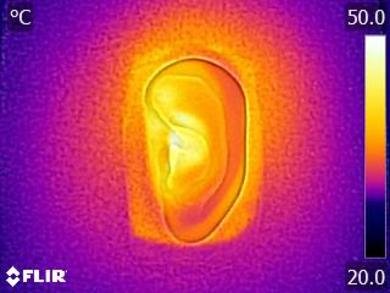 JBL Everest 710 Wireless Breathability After Picture