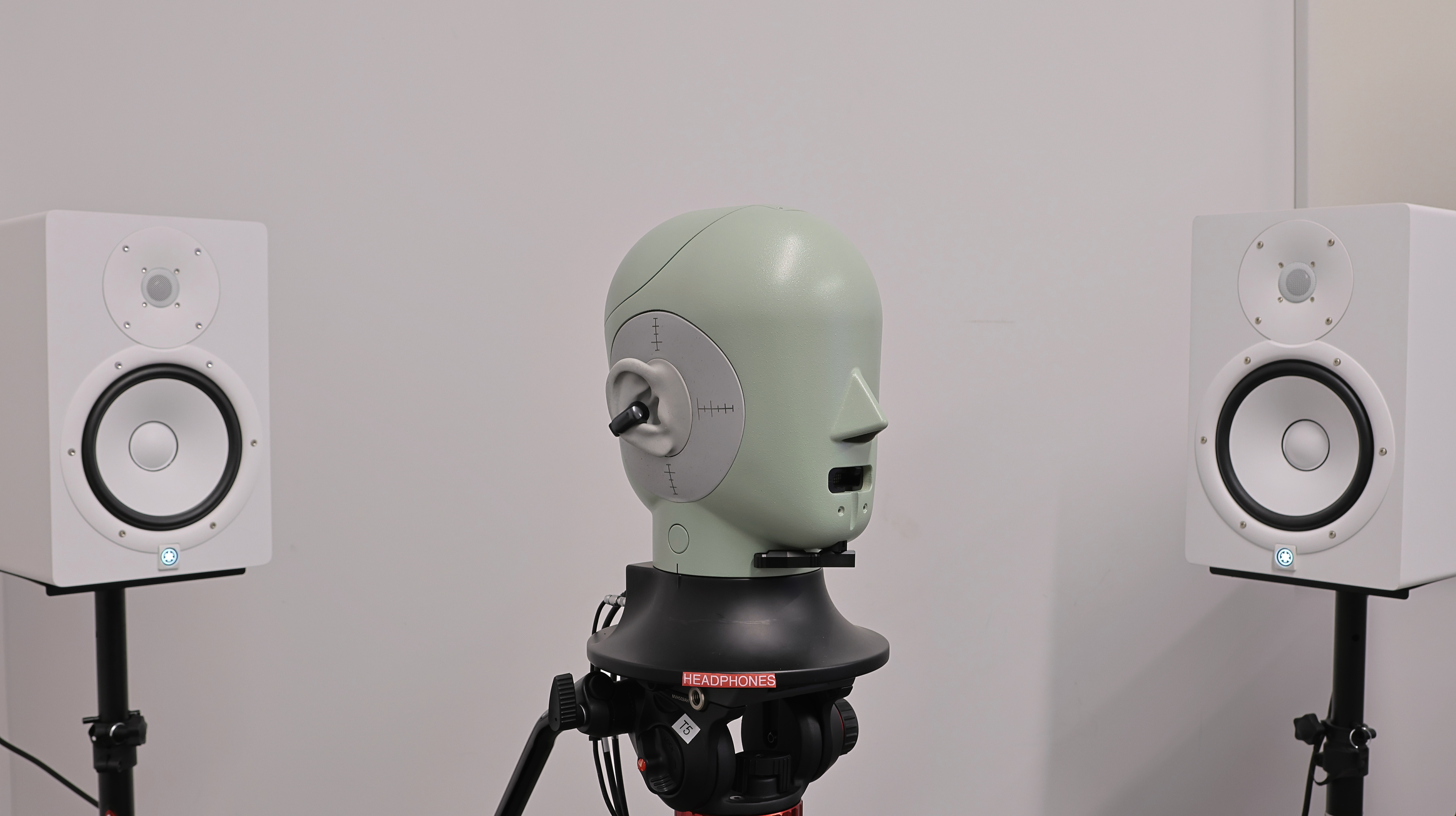 perceptual testing image