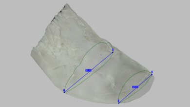 PUMA MagMax NITRO Forefoot Width Photo