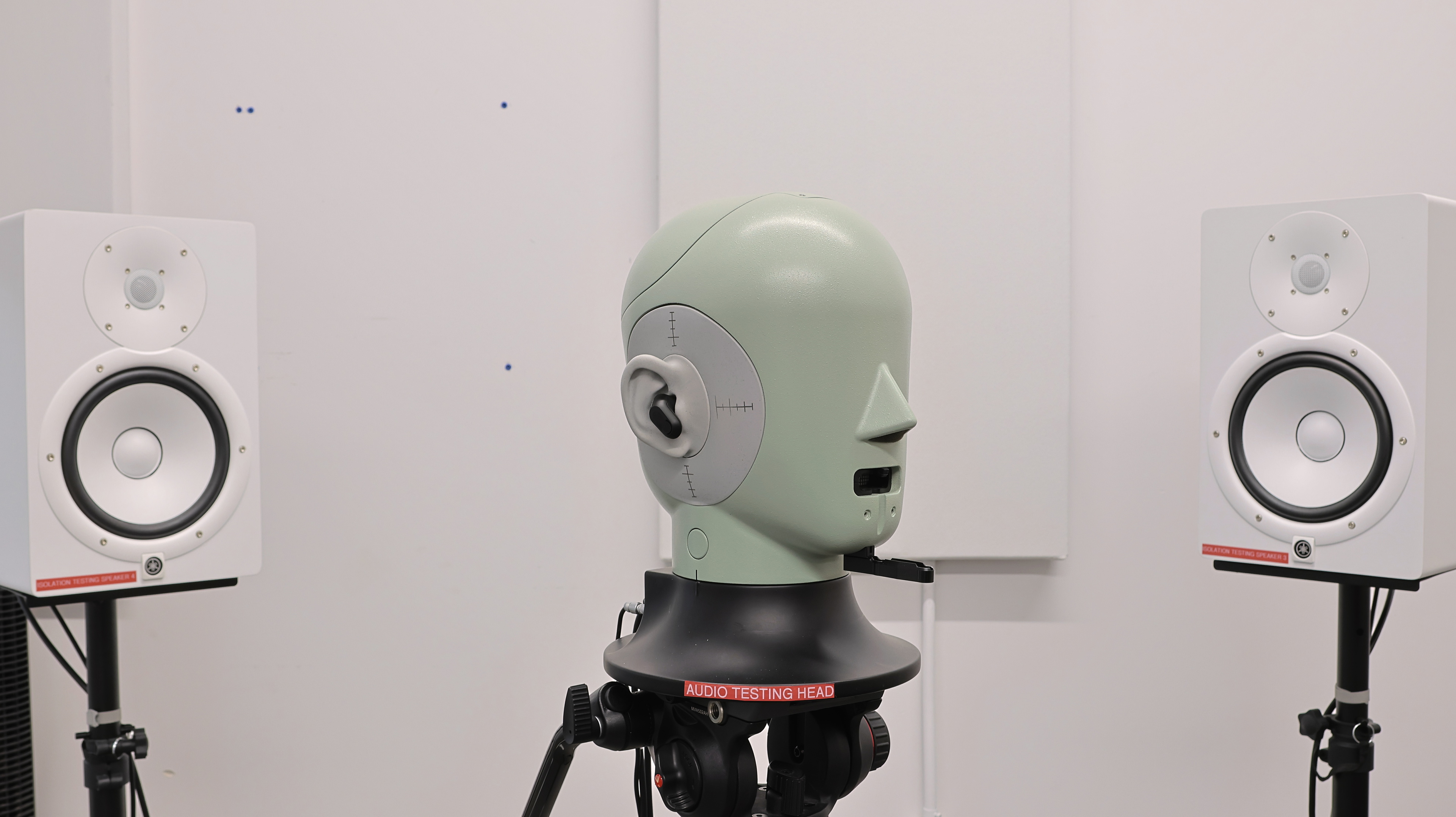 perceptual testing image