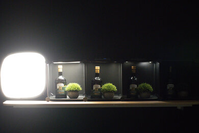 Panasonic LUMIX G9 II Dynamic Range Scene