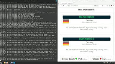 Perfect Privacy Headless OpenVPN Connection Screenshot