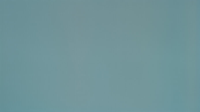 LG 48 CX OLED 50% Uniformity Picture