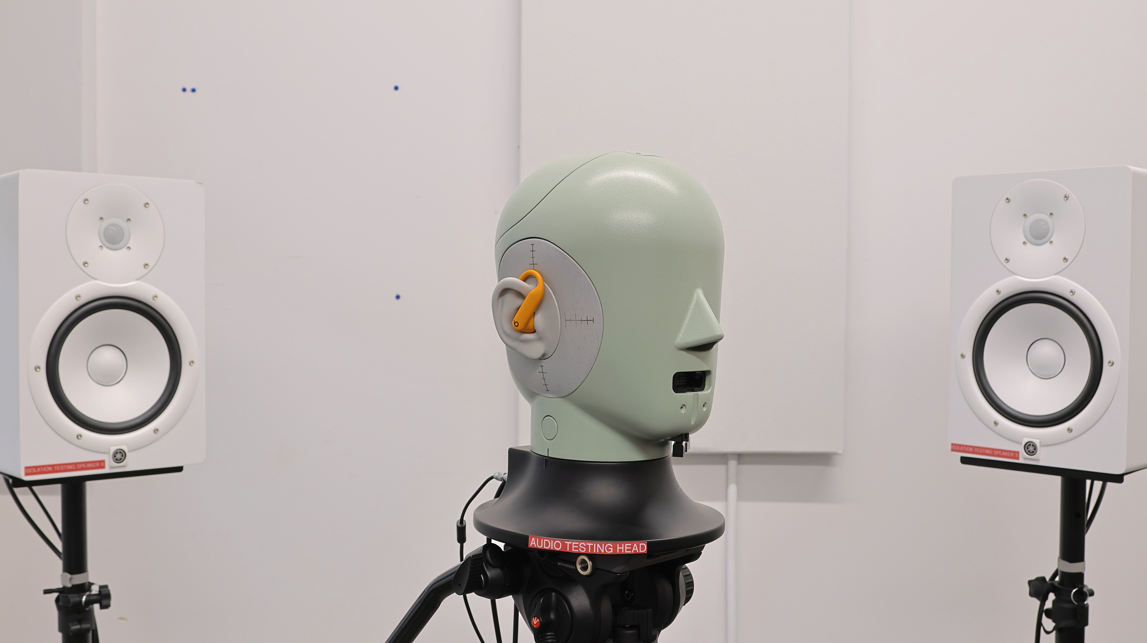 perceptual testing image