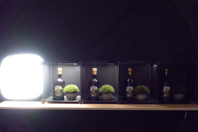 Sony ZV-1 Dynamic Range Scene