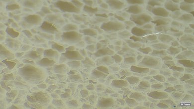 Altra Torin 8 Primary Foam Picture