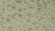 Altra Torin 8 Primary Foam Picture