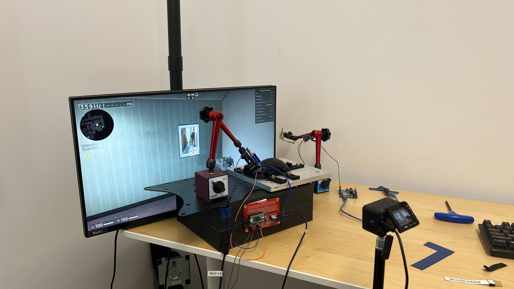 perceptual testing image