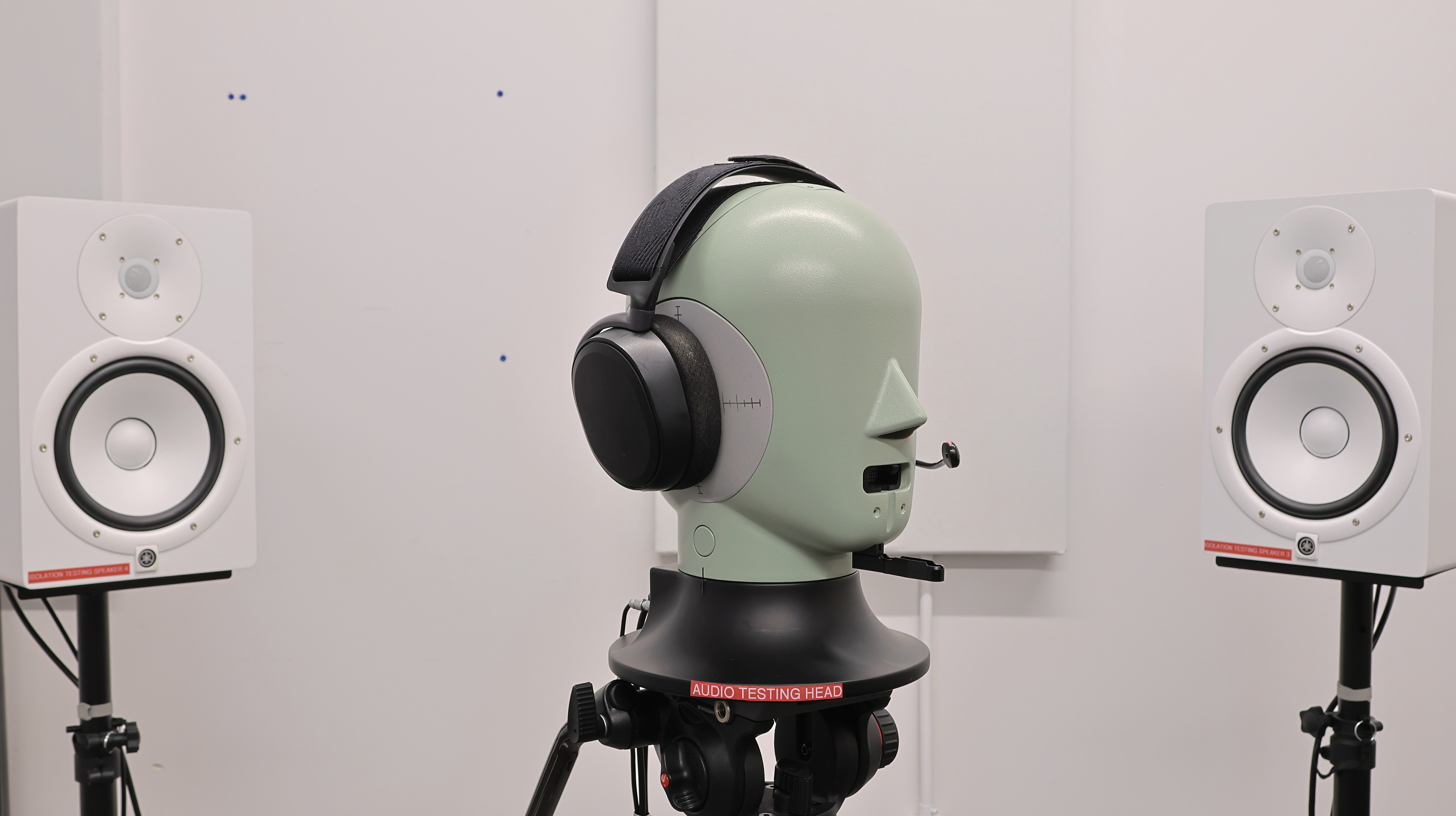 perceptual testing image