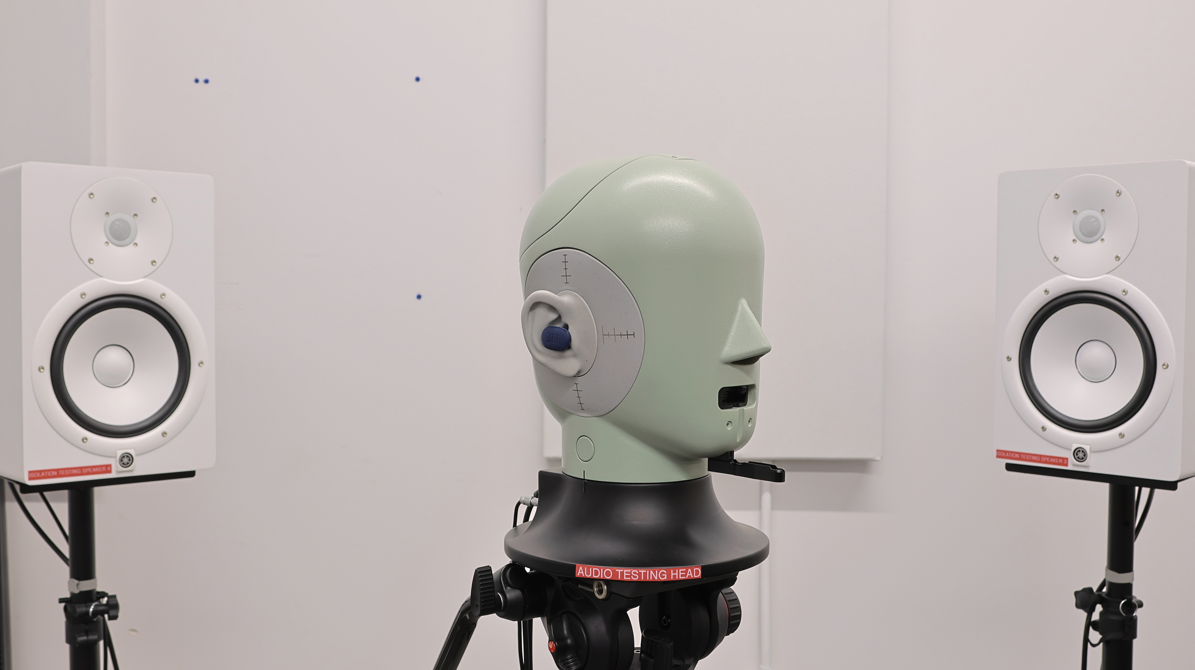 perceptual testing image