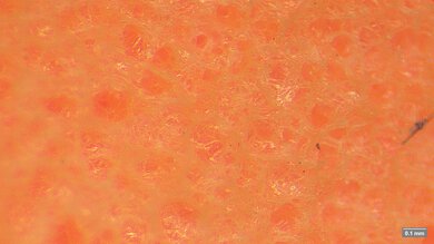 Altra Torin 9 Primary Foam Picture
