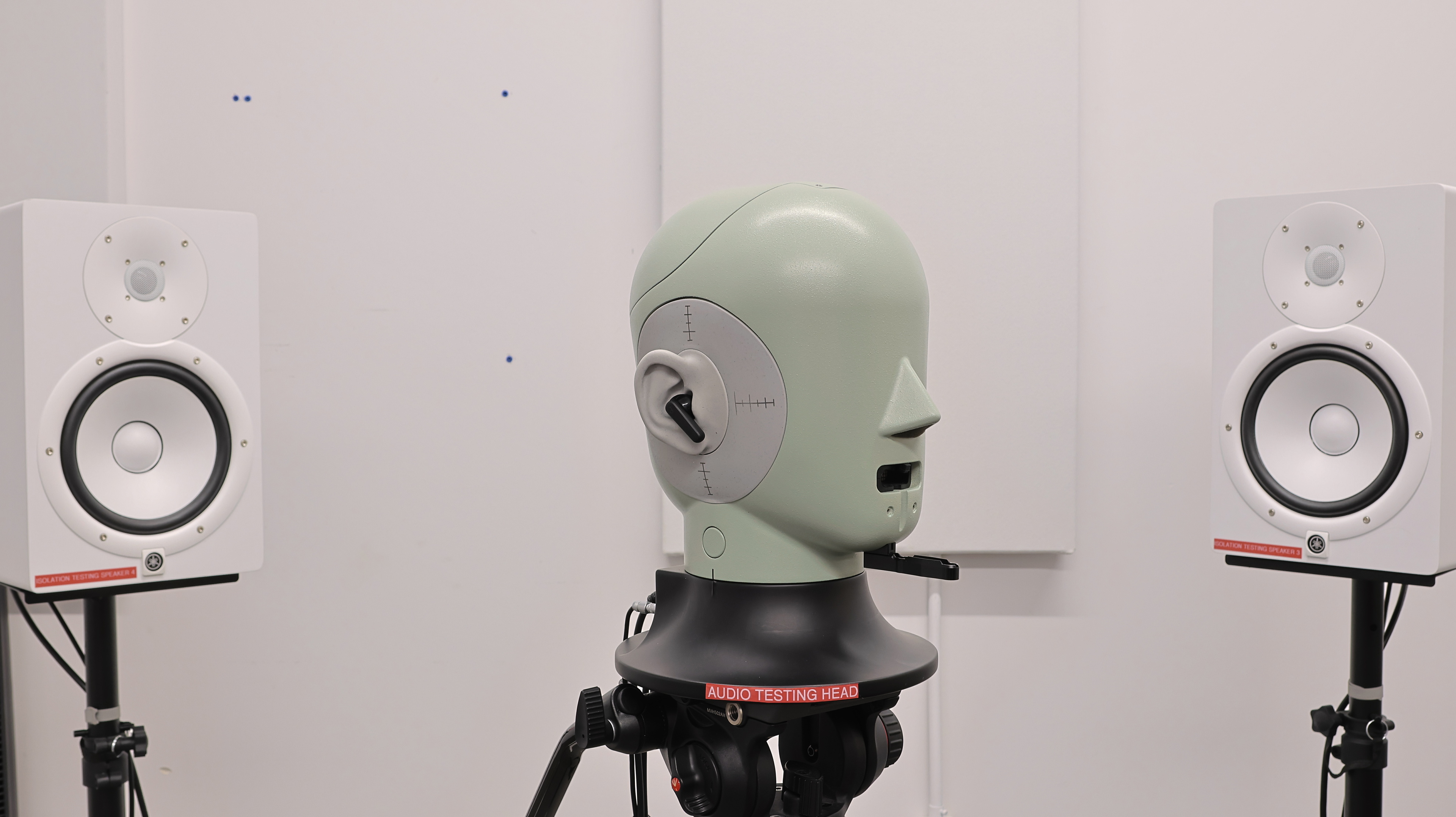 perceptual testing image