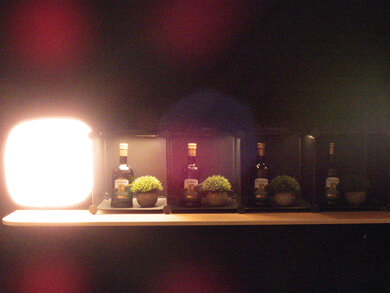 Nikon COOLPIX P950 Dynamic Range Scene