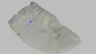 ASICS METASPEED SKY PARIS Arch Fit Photo