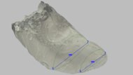 Nike Quest 7 Forefoot Width Photo