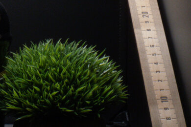 Panasonic LUMIX FZ80 Sharpness Scene Crop