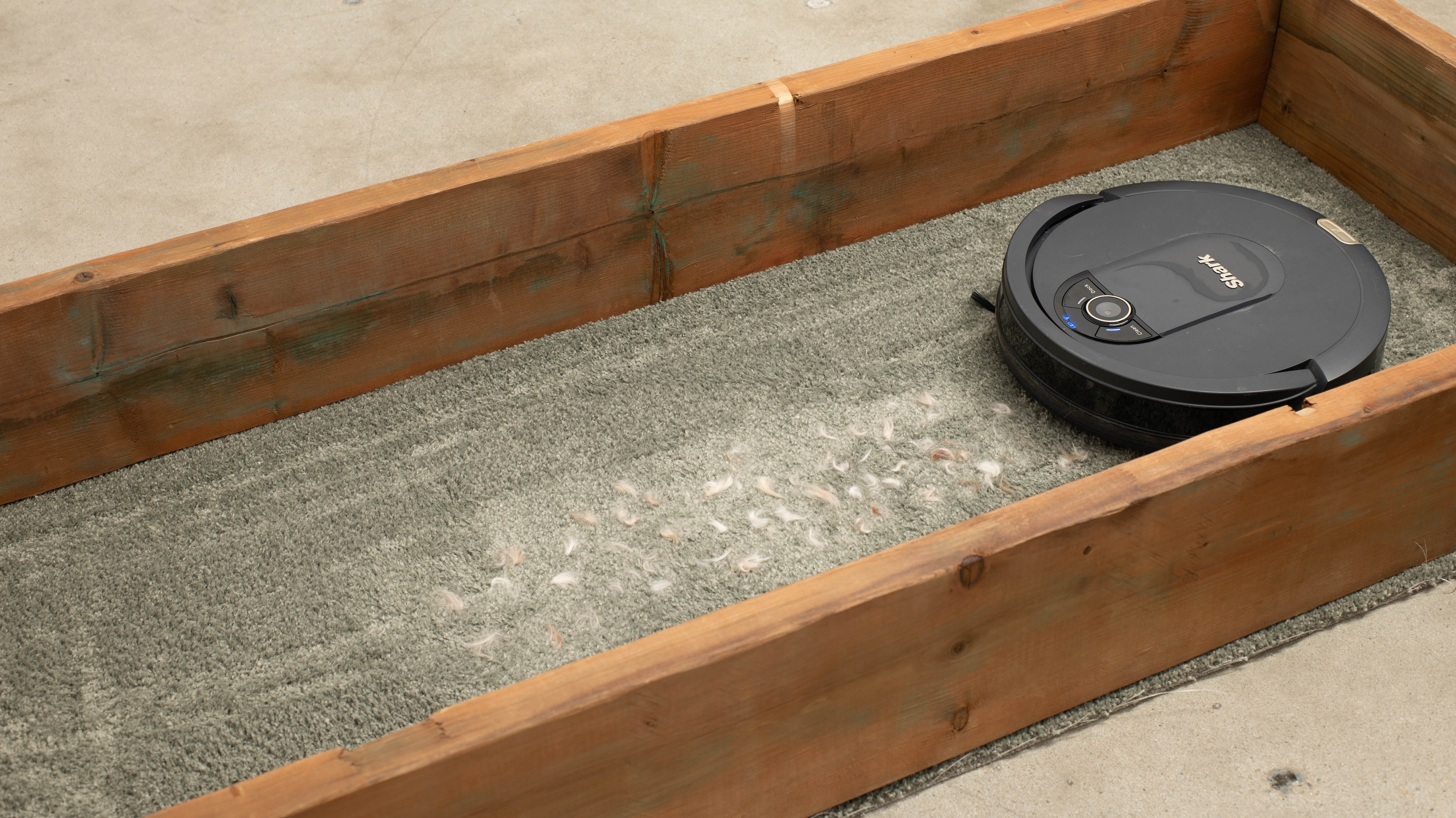 perceptual testing image