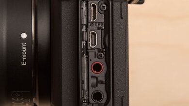 Sony α6600 Input Picture