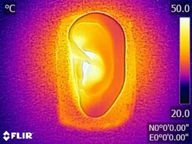 Bang & Olufsen Beoplay H6 Breathability After Picture