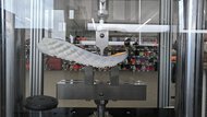 Kiprun KS900 2 Forefoot Bending Resistance Picture