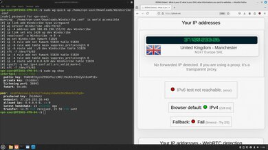 Windscribe Headless WireGuard Connection Screenshot