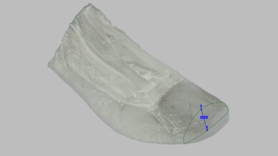 Brooks Ghost 17 Forefoot Height Photo