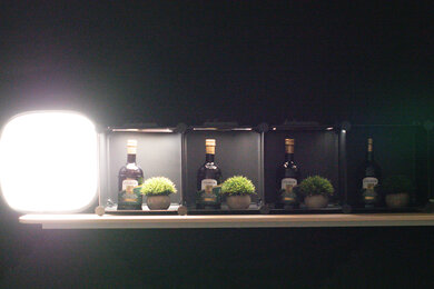 Panasonic LUMIX GH5 II Dynamic Range Scene