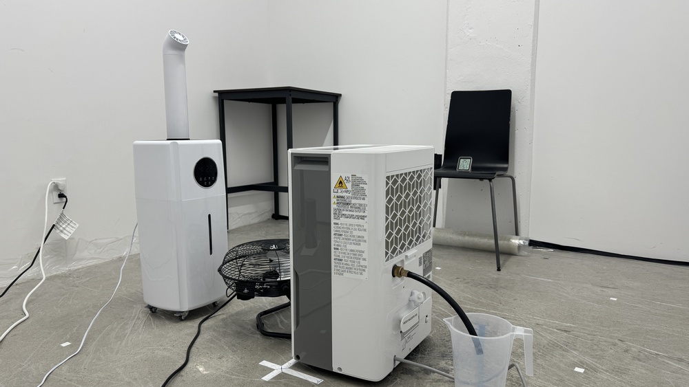 perceptual testing image