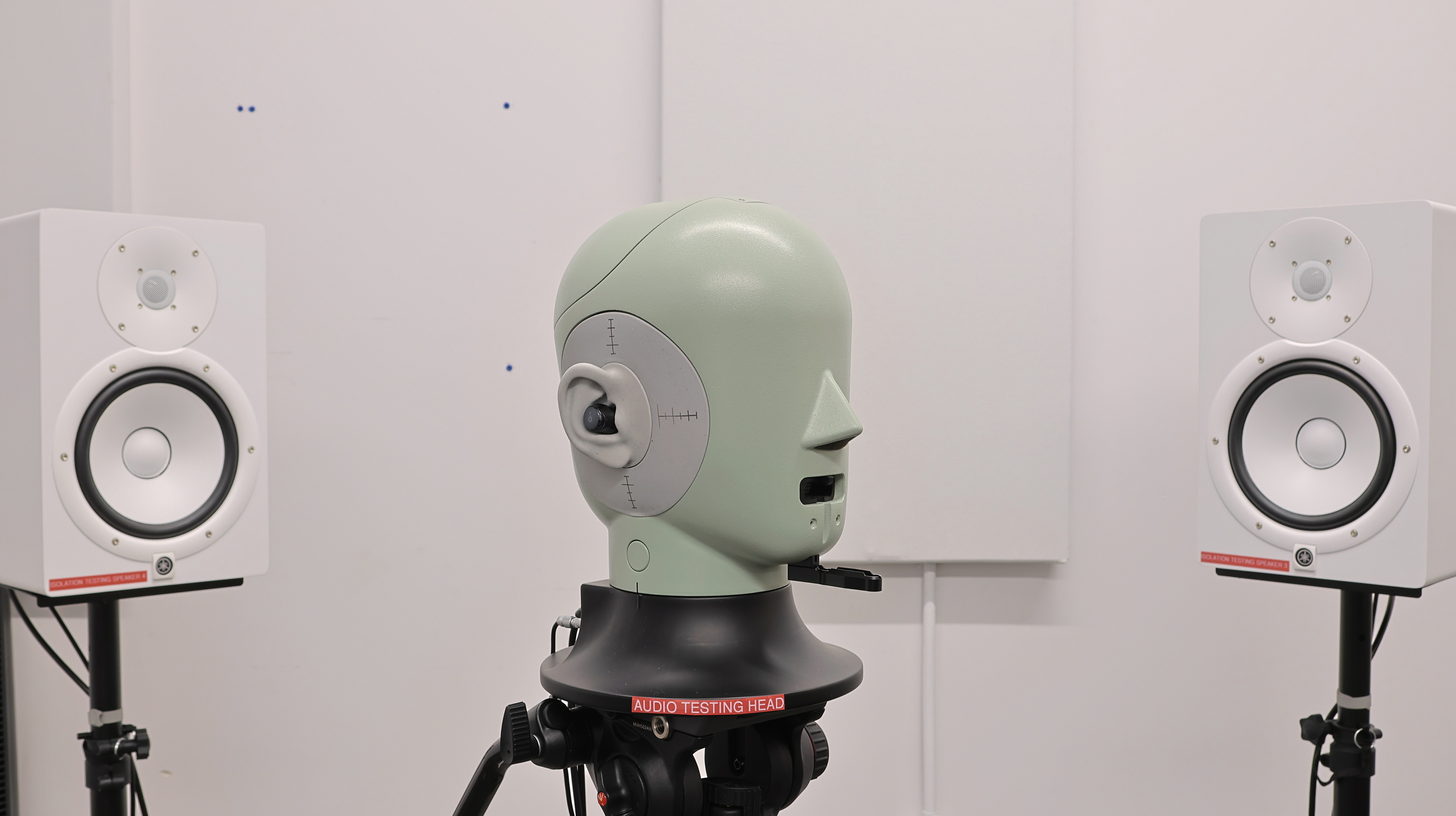 perceptual testing image