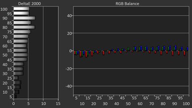 Valerion VisionMaster Pro 2 Pre White Balance Picture