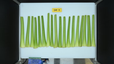 Frigidaire FFTR1425VW Produce Picture (After)