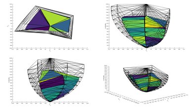 Sony X95J 2020 Color Volume ITP Picture