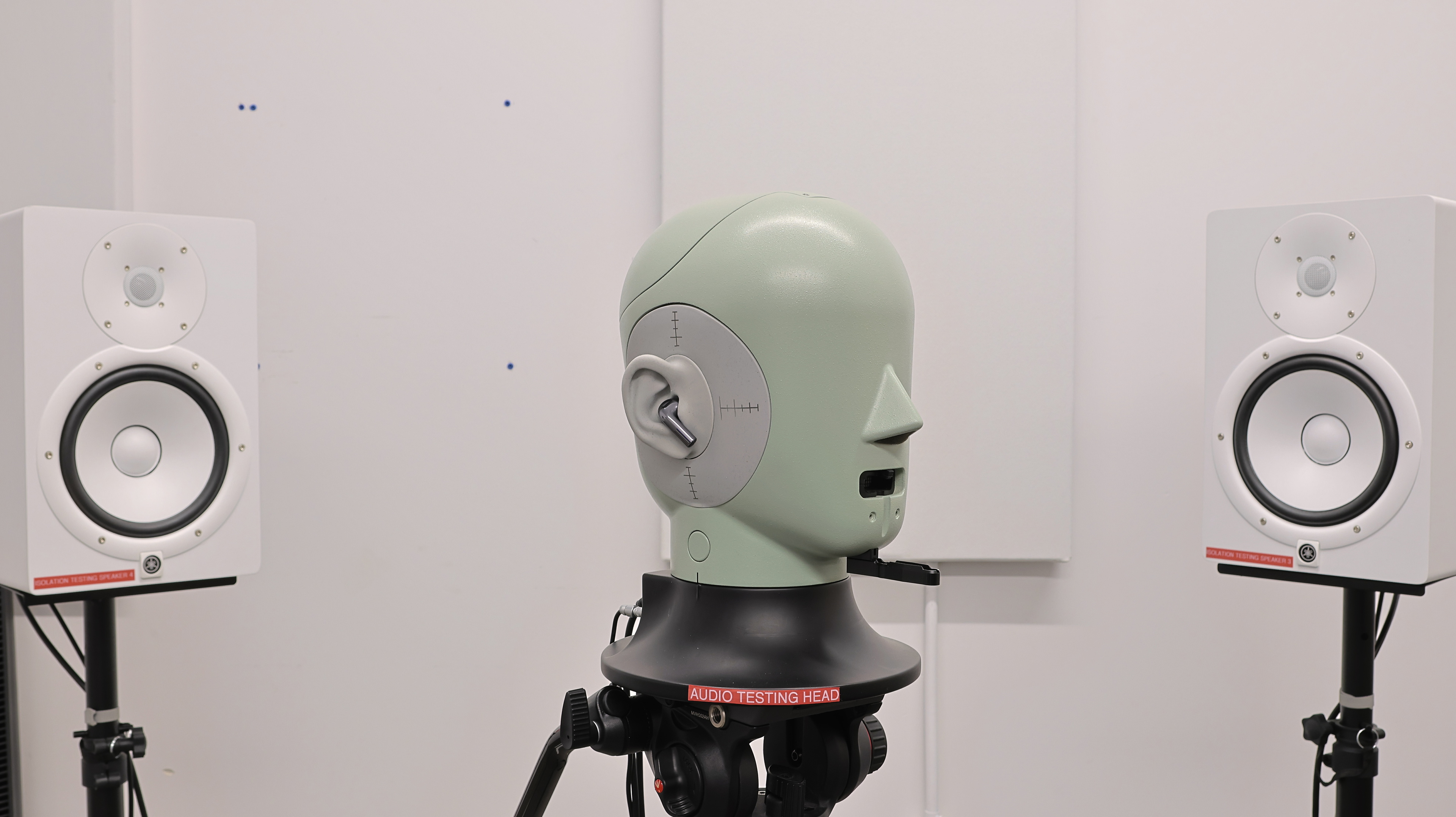 perceptual testing image