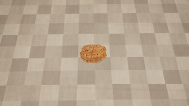 Shark Cordless Pro IZ562H Stain Pickup Post Test