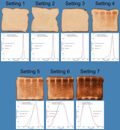 Dash Clear View Long Slot Toasting Range Photo