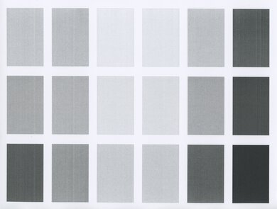 Lexmark B2236dw Color dE Picture