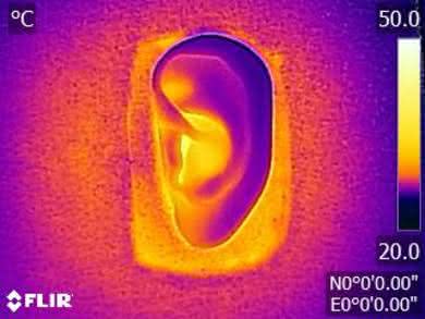 Sony WF-SP700N Truly Wireless Breathability After Picture