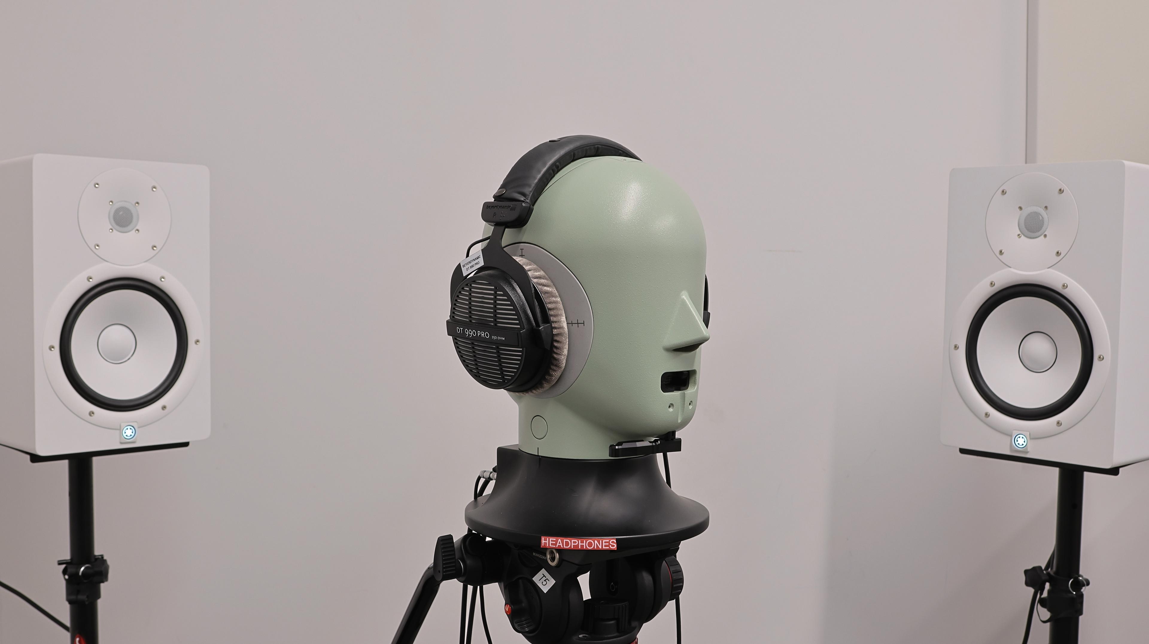 perceptual testing image