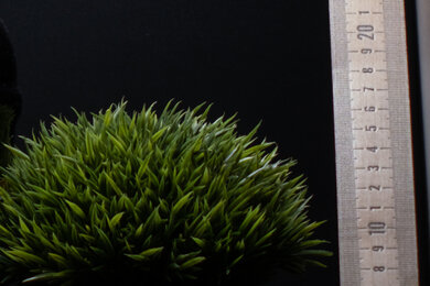 Fujifilm X-T30 Sharpness Scene Crop