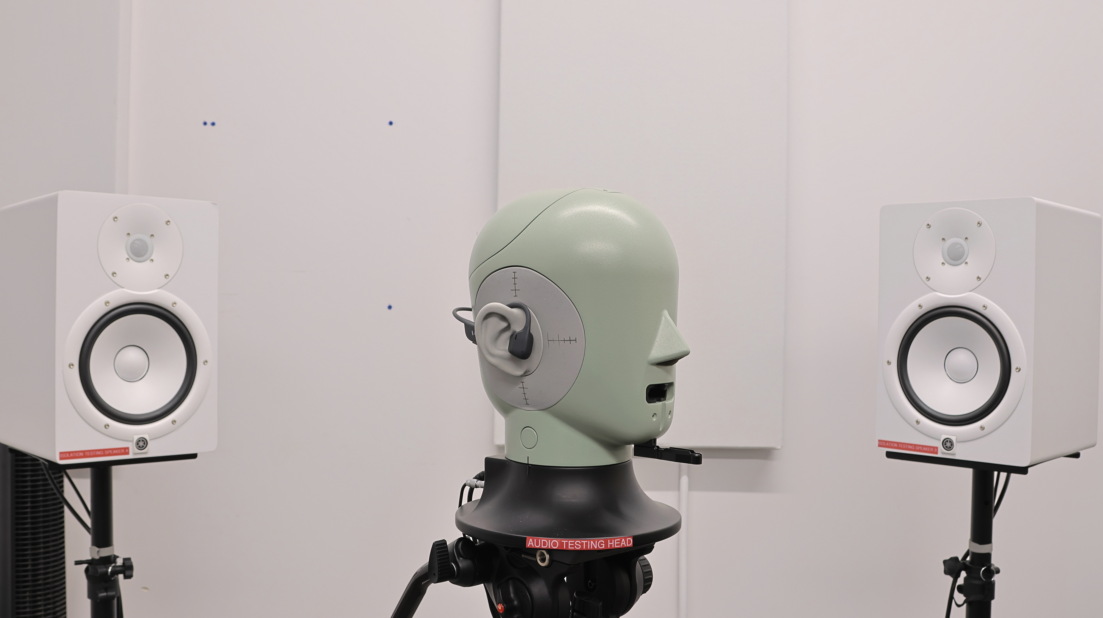 perceptual testing image