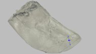 Altra Vanish Carbon 3 Forefoot Height Photo