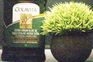 Leica V-Lux 5 Noise Scene Crop
