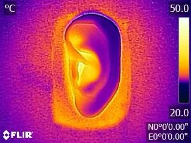 Jaybird Run XT Truly Wireless Breathability After Picture