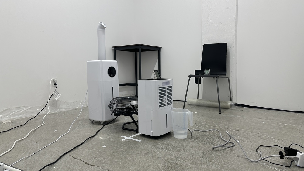 perceptual testing image