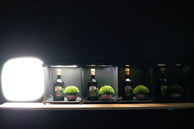 Sony α7R IIIa Dynamic Range Scene