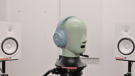 In-Test Picture