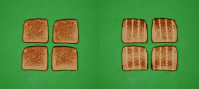 Ninja Flip SP151 Unprocessed Toast Picture