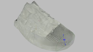 Nike Pegasus Premium Forefoot Height Photo
