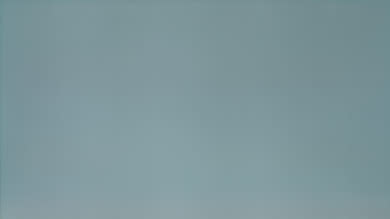 LG B8 OLED 50% Uniformity Picture